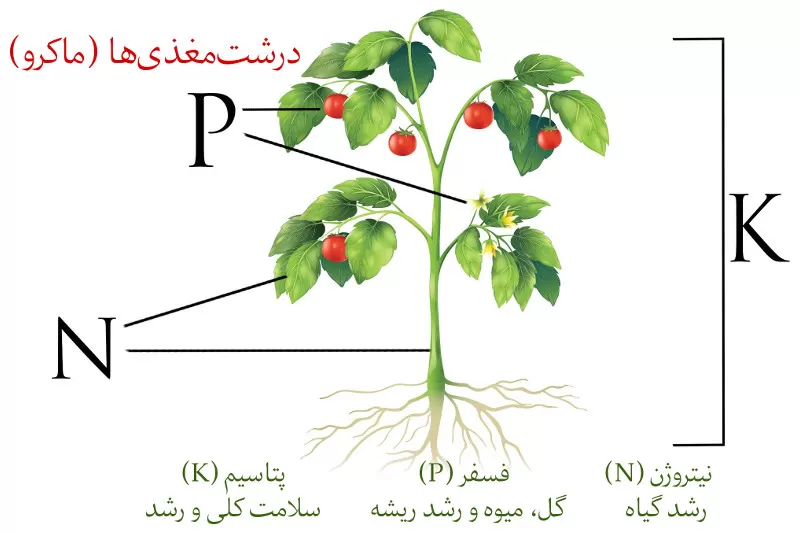 کود سه بیست کیمیا